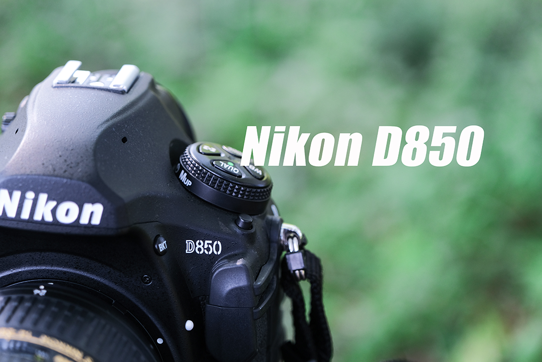 NIKON D850 本体　11月中まで