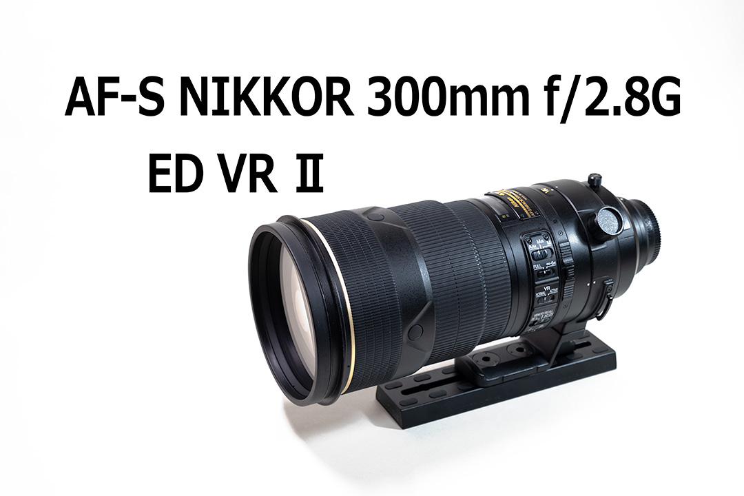 Nikon ED AF Nikkor 300mm F2.8 テレコン・ケース付-